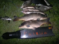 22082012770.webp