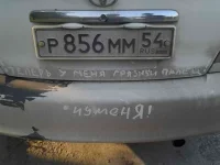 getImage (29).webp