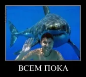 Всем пока.webp