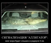 134263013138883.webp