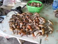 20120729_181843.webp