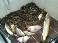 20120823_112314.webp