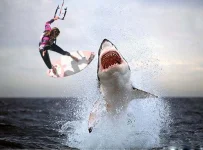 1341212979_00.webp
