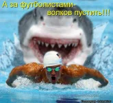 133356449277357.webp