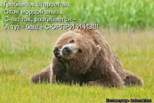 kotomatrix1408.webp