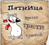 kotomatrix1416.webp