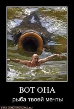 getImage (13).webp