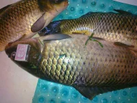 26082012166.webp