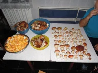 DSCN2934_1.webp
