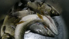2012-08-25-325.webp