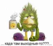 s3img_286717449_7844_1.webp