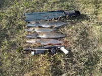 2012-08-24 19.03.42.webp