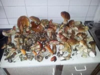 20120828_121252.webp