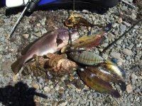 DSCF3649.webp