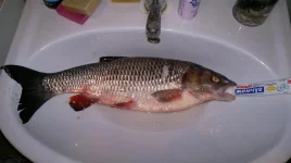 2012-08-28-016.webp