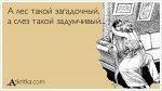 s3img_286717449_8203_1.jpg