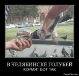 1315845957_demotivatory-prikoly-40.webp
