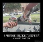 1315845957_demotivatory-prikoly-40.jpg