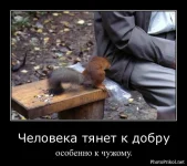 1316936869_demotivatory-prikoly-11.webp