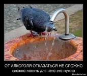 1306969217_smeshnye-demotivatory-47.webp