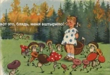 sEBzQxzCiAM.webp