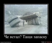 getImage (48).webp