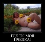 s3img_12398122_62349_7.jpg