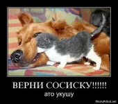 1310042768_svezhie-demotivatory-45.webp