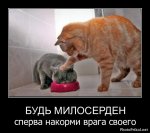 1313697721_demotivatory-prikoly.jpg