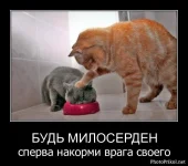 1313697721_demotivatory-prikoly.webp