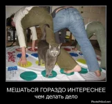 1305991324_funny_demotivators-44.webp
