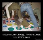 1305991324_funny_demotivators-44.jpg