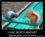 1307455101_smeshnye-demotivatory-28.jpg