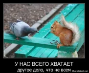1307455101_smeshnye-demotivatory-28.webp