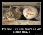 1310683182_smotret-demotivatory-16.jpg