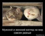 1310683182_smotret-demotivatory-16.webp