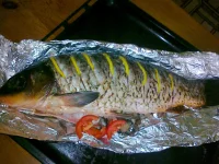 02092012170.webp