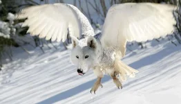 1344860149_23000000.webp
