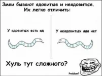 134637863677796.webp
