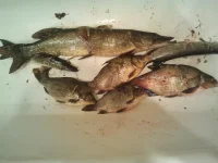 2012-09-01 07.43.09.webp