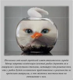 1346685763_fakt_140.webp
