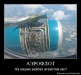 3061544.webp