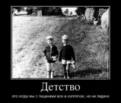 defa.webp