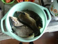 333.webp