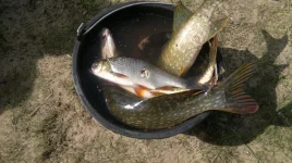 2012-09-05-335.webp