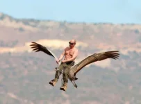политота-Путин-стерх-улетел-347077.webp