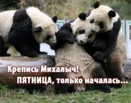 Пятница2.webp