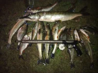 09092012660.webp
