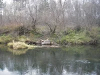 танк 8.webp
