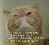 Морда.webp